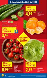 Lidl gazetka Strona 22