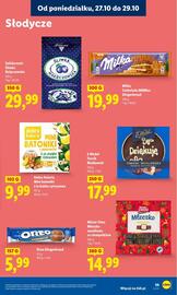Lidl gazetka Strona 43