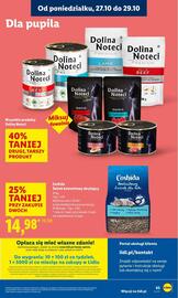 Lidl gazetka Strona 67
