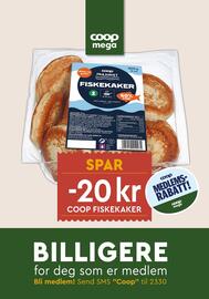 Coop Mega kundeavis uke 44 Side 14