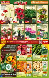 Norma Prospekt woche 45 Seite 13
