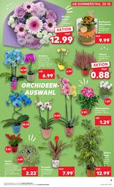 Kaufland Prospekt woche 44 Seite 5