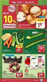 Aldi Nord Prospekt woche 45 Seite 3