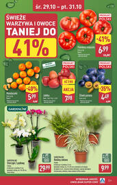 ALDI gazetka Strona 31