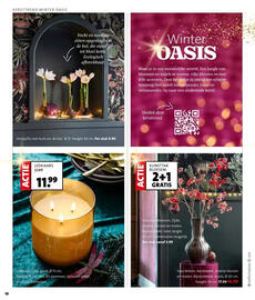 Intratuin folder week 44 Pagina 10