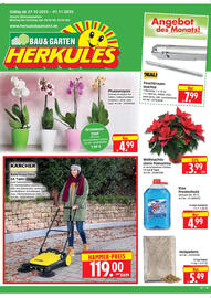 Edeka Herkules Prospekt woche 44 Seite 1