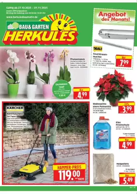 Edeka Herkules Prospekt (gültig bis 1-11)
