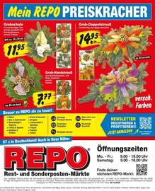 Repo Markt Prospekt woche 44 Seite 20