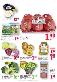 Scheck-in-Center Prospekt woche 44 Seite 11
