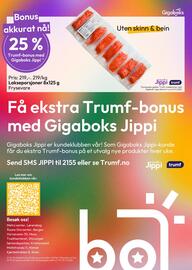 Gigaboks kundeavis uke 44 Side 8
