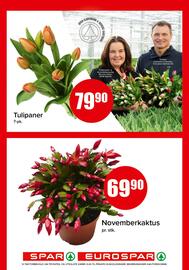 Spar kundeavis Side 15