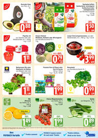 Marktkauf Prospekt Seite 7