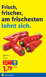 Lidl Flugblatt woche 44 Seite 4