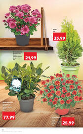 Catalog Kaufland săptămâna 44 Pagină 20