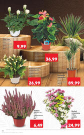 Catalog Kaufland săptămâna 44 Pagină 22