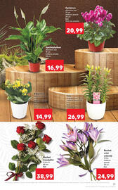 Catalog Kaufland săptămâna 44 Pagină 23