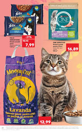 Catalog Kaufland săptămâna 44 Pagină 68