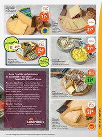 Basic Prospekt Seite 11