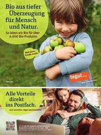 Basic Prospekt Seite 15