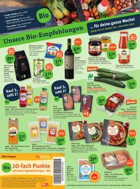 Basic Prospekt Seite 2