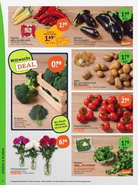 Basic Prospekt Seite 4