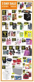 Dollar General weekly ad Page 2