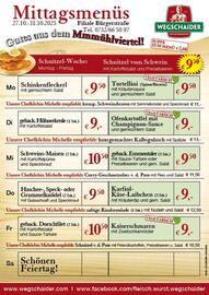 Wegschaider Flugblatt Seite 2