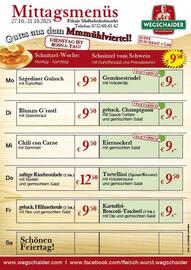 Wegschaider Flugblatt Seite 6