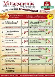 Wegschaider Flugblatt Seite 7