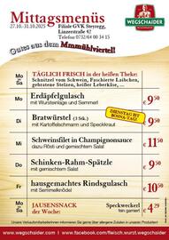 Wegschaider Flugblatt Seite 8