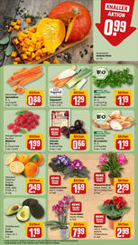 REWE Prospekt woche 44 Seite 9