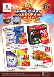 Nesto catalogue Page 3