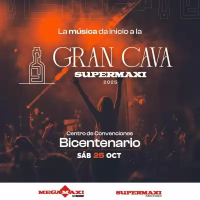 Catálogo Megamaxi (válido hasta 9-11)