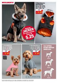 Woolworth Prospekt Seite 23