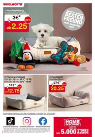 Woolworth Prospekt Seite 24