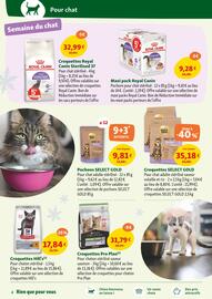 Catalogue Maxi Zoo semaine 44 page 4