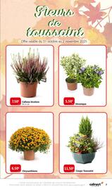 Catalogue Colruyt page 7