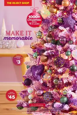 The Reject Shop catalogue (valid until 18-11)