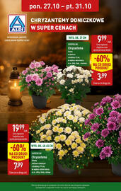 ALDI gazetka Strona 1