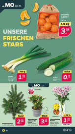 NETTO Prospekt woche 45 Seite 2