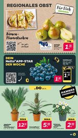 NETTO Prospekt woche 45 Seite 3