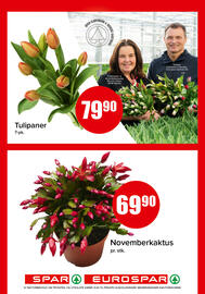 Eurospar kundeavis uke 44 Side 14