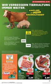 Kaufland Prospekt Seite 29