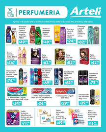 Folleto Arteli Página 13