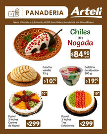 Folleto Arteli Página 7