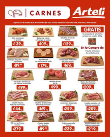 Folleto Arteli Página 9