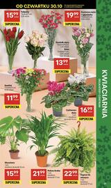 Delikatesy Centrum gazetka tydzień 44 Strona 37