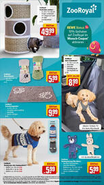 REWE PETZ Prospekt woche 44 Seite 34