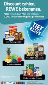 REWE PETZ Prospekt woche 44 Seite 36