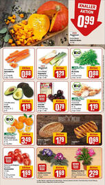 REWE PETZ Prospekt woche 44 Seite 9